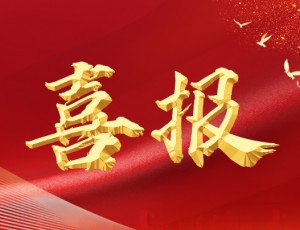 品质铸魂！第十届潍坊市市长质量奖花落云门