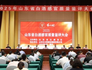 53°云门陈酿·玉白2025版荣获2025齐鲁白酒酒体设计金奖！