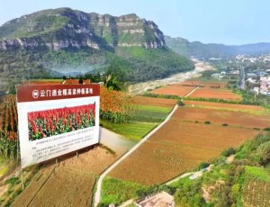 云门酒业荣获潍坊市“2025年市级绿色工厂”