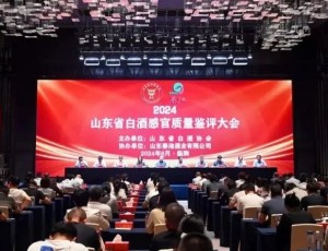 云门洞藏 洞藏10 荣获“齐鲁白酒酒体设计创新奖”