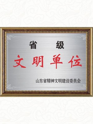 2008年  山东省省级文明单位