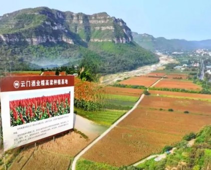 云门酒业：五大品质维度诠释“中国消费名品成长企业”