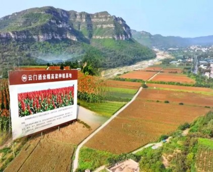 云门酒业荣获潍坊市“2025年市级绿色工厂”